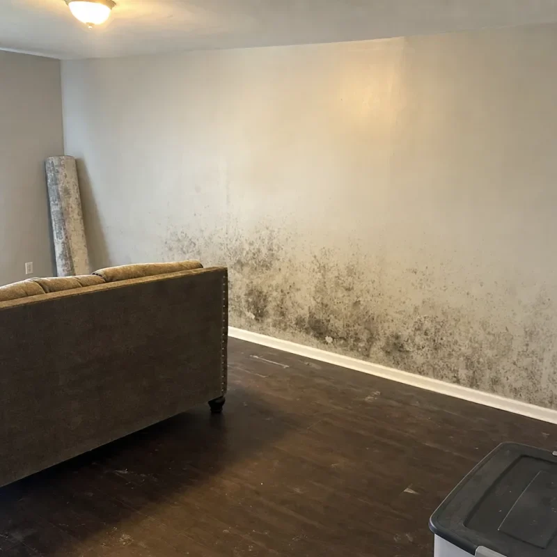 Furniture moved away from a wall with visible mold.