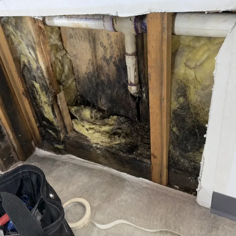 A wall opening reveals mold affected material and a pipe.