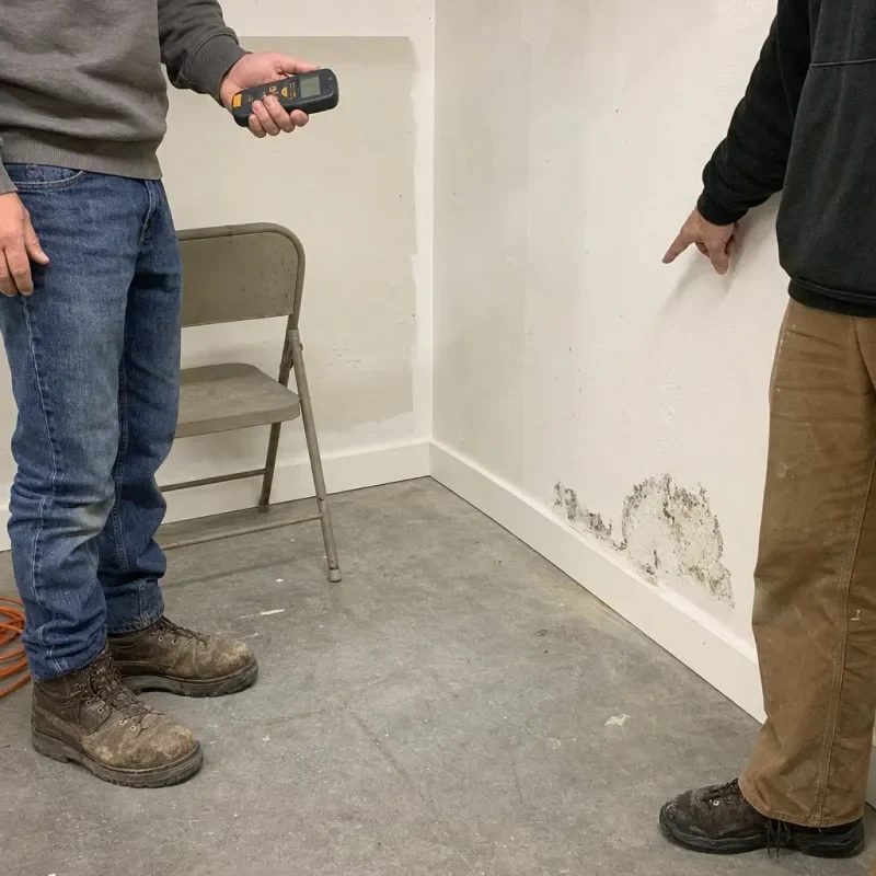 Two adults inspect a remaining mold patch with a moisture meter.